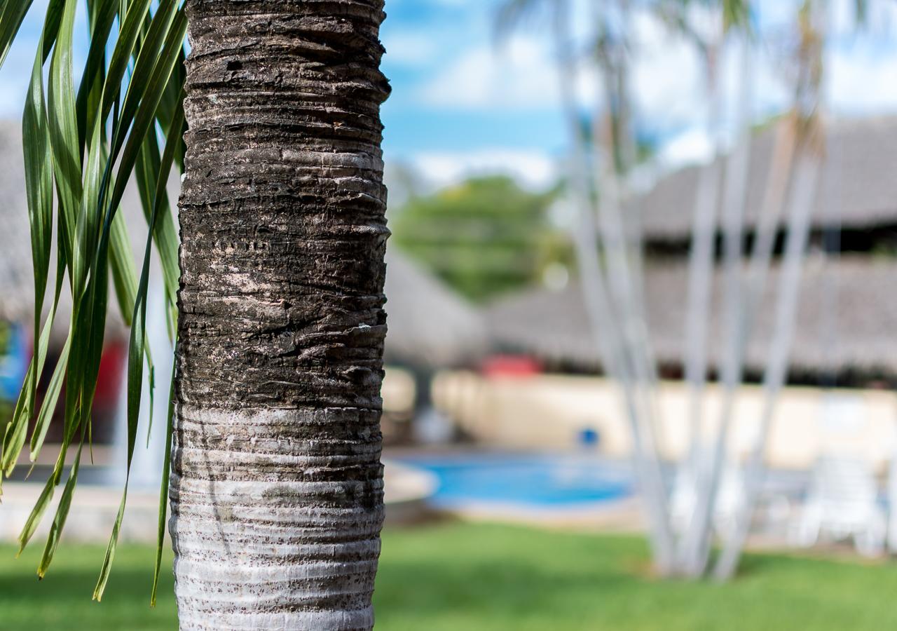 Hotel Guanacaste Lodge Playa Flamingo Zewnętrze zdjęcie